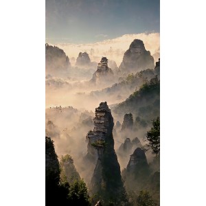 Fototapeta Erismann Zooom...